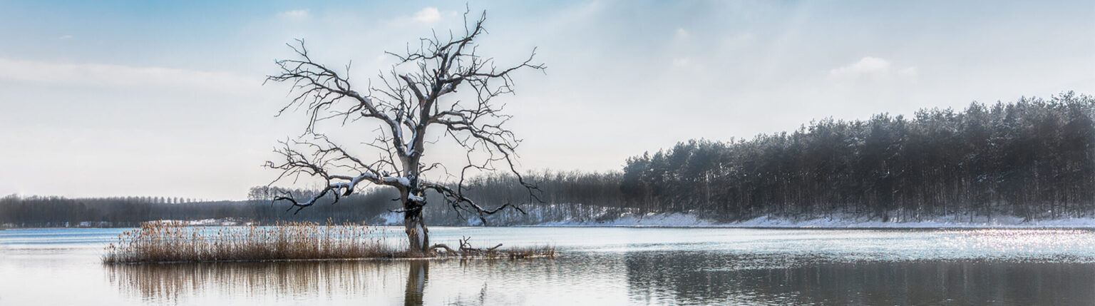 Napijegy Nagybajom és Vidéke Egyesület